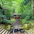 新潟県

弥彦神社⛩