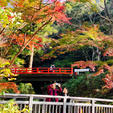 和歌山
根来寺
紅葉遊歩道