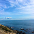 三浦半島の城ヶ島公園に行きました