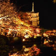 京都
東寺
風もなく穏やかな日でしたので、ライトアップされた紅葉が水面に映り、幻想的でした。