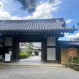 大覚寺　旧嵯峨御所

真言宗大覚寺派の本山。876年（貞観18年）、嵯峨天皇の離宮嵯峨院を寺院に改め、歴代の天皇や皇族が住持された門跡寺院であり、嵯峨御所として知られる。境内にある宸殿（重文）は徳川2代将軍秀忠と浅井長政の三女であるお江の間に生まれた東福門院和子が女御御殿の宸殿として使用していたもので、狩野山楽筆の「牡丹図（重文）」や「紅梅図（重文）」などがあり、桃山金碧画の代表的作品として知られている。

#サント船長の写真　#大覚寺