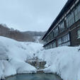 今年は雪がいつもよりとても少ないそうだけど、雪国じゃないところから来た人にとっては十二分な雪景色でした♨️お風呂も白濁して強烈な硫黄臭で、いかにも温泉、という温泉でとてもきもちよかった。混浴風呂が自慢のお宿だけど女性専用の時間が朝晩ちゃんとあるので、女性も気兼ねなく入れます。