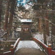 雪化粧され厳かな雰囲気でした⛩❄