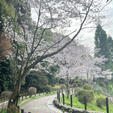 哲学の道

やっぱりここは桜の時期がいいですね。
朝一は最高のウォーキング日和になりました♪
昼の帰り道は人混みになってしまいましたが。
2024.4.6