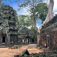 カンボジア🇰🇭
タプロム遺跡