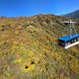 2024/10/14  
立山から🚠美女平🚌室堂
室堂山展望台、ミクリガ池、雷鳥沢ヒュッテまでハイキング
室堂から🚌大観峰🚠黒部平🚠黒部湖で黒部ダムへ

これ往復してアクセスに時間とお金かかりすぎやけど価値あり。
大観峰は紅葉ばっちり…？立山はいずれ雪山のときに再訪の所存。
#ハイキング