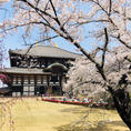 奈良。東大寺。桜満開