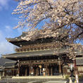 #東本願寺
#桜
#京都
#trip