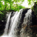 2019.8.11
栃木県那須塩原の
乙女の滝
岩を登れば滝の横までいけちゃう
避暑地に最高！！