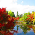 京都 永観堂