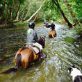 Mount-n-Ride Adventuresにて馬に乗りながら、川を歩けました♪
お迎えにきてくれますよ(^^)
初心者OK