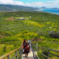 Diamond head