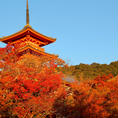 京都/清水寺