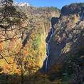 2020.10.31
八郎坂から見下ろす称名滝と紅葉🍁