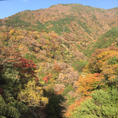 箱根の紅葉