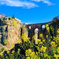 📍Ronda, Spain
スペインのアンダルシア州マラガ県にある街、ロンダ。
断崖絶壁に立つパラドールからの景色が最高だった！
下から見るヌエボ橋も絶景。