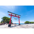 桜島近くの垂水フェリーから20分ほどにある菅原神社。晴天にも恵まれて鳥居のすぐ後ろにある海と青空とで映えてる。初鹿児島旅行！