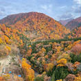 成瀬ダム(秋田県)近くの夢仙人大橋からの紅葉！

橋はバンジージャンプができそうなくらい高くて、成瀬ダムの建設現場もよくみえます。あと5年でダムが完成するそうなので、水に紅葉が沈む前にぜひどうぞ。