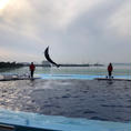 香川県　綾歌郡宇多津町　四国水族館
1月