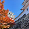 郡上八幡城と紅葉の風景
青空と紅葉の色とお城の白色が
とても美しく
朝から登った甲斐がありました
岐阜県郡上市/郡上八幡城