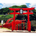 2018.8.13
山口県
元乃隅稲成神社⛩