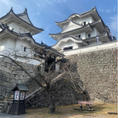 伊賀上野城
初めて訪れたお城！
#202311 #s三重