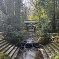 自然に囲まれた神社