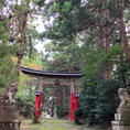 20241010
佐渡　牛尾神社

朝からいくつも能舞台がある神社をまわりましたが
扉が開いているところはなく…

こちらの牛尾神社だけは開いていてやっと
中が見ることが出来ました

能舞台も見れてよかったのですが
こちらの拝殿の彫刻のすごさ…
物語絵や、鯉の泳ぐ姿など所狭しと細かく彫られ
とても感動しました

私が佐渡で行った神社仏閣の中では
一番好きなところでした