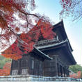 南禅寺　三門

紅葉と三門のコラボです
景観いい、通っただけですが
こんなにいい感じなのはすごい。
2024.12.7