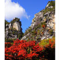 [2018/11]
山梨県、昇仙峡。
紅葉が見頃を迎えています。
そこまで人が多くなく、かつ綺麗な紅葉が観れるので非常に良かったです。
紅葉の写真もたくさん撮れました^^