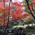 20181126＊大田黒公園の紅葉