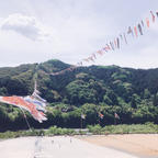 高知県、十和町。ものすごい数の鯉のぼり🎏🎏