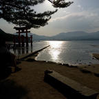 夕暮れの宮島
ベンチに縫いとめられて
うっかり夕食に遅れかけた