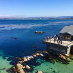 モントレーベイ水族館 @Monterey, CA