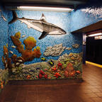 New York / Manhattan
81st Street Station
アメリカ自然史博物館がある地下鉄81丁目駅は、こんなにもフォトジェニック♪