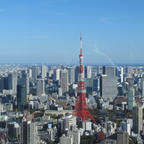 六本木ヒルズの展望台から見た、普通の東京タワー🗼