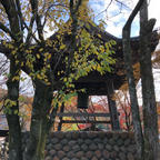 #伊豆
#修禅寺
#紅葉