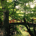 伊香保/群馬
鉄の匂いがきつーい温泉でした🤖
森林の中の温泉って感じが良かったです