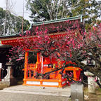 2020年2月
北野天満宮