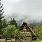 雨の白川郷