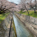 京都へ