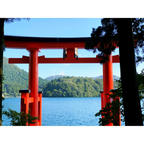 【箱根】芦ノ湖に浮かぶ水中鳥居 箱根神社
この箱根神社にある湖上の鳥居は「平和の鳥居」という名前で、日本の独立を記念して昭和27年に建てられたそうです。箱根遊覧船からもよく眺めることができますが、実際に山道を歩いて鳥居の近くまで来るとまた一味違った雰囲気を味わえます。ここまで来る間には森林にある道を進むので、森林浴にも適していると思います。
.
.
.
［アクセス］
電車・バス利用
小田急ロマンスカーで新宿から箱根湯本まで約70分
↓
箱根登山鉄道箱根湯本駅から路線バスで約45分
.
#箱根 #箱根神社 #神奈川 #神社 #鳥居 #絶景