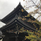 知恩院

雨の知恩院☔️