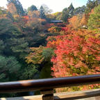 東福寺　(通天橋)


#京都　#神社仏閣 #サント船長の写真
#紅葉