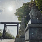 靖国神社⛩

入り口から迫力に圧倒された…！！
桜に癒されながら参拝。