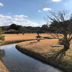 2018.12.31〜2019.01.02 広島&島根⛩④

日本三大名園  岡山後楽園

歳を重ねれば魅力が分かってくる、多分