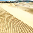 White sand dunes ムイネー郊外にある白い砂漠は本当に美しいです。バギーで砂漠を駆け巡ることができます。