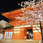 📍京都 八坂神社
夜桜🌸