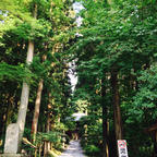 御岩神社へと続く参道
鮮やかな緑が癒してくれます。
そして、真っ直ぐに伸びる木々は心を戒めてくれてるようでした。
#茨城県#御岩神社