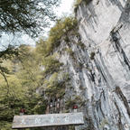 🌏岩手県一関市
📍猊鼻渓

ゴッツゴツの岩場の間を舟下り〜🍃
ゆったり癒やしすぎて寝かけた